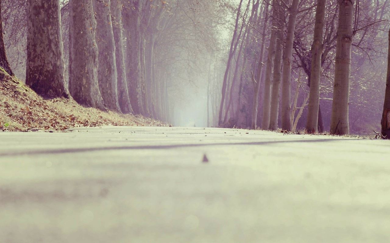 Picture via Pixabay user Unsplash, Public Domain